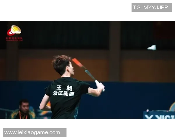 西安羽毛球队实力强劲荣登全国个人能力排行榜第七名