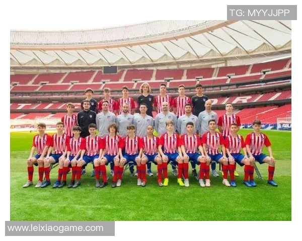 成都足球队转型之路揭秘：从低谷到冠军赛的奋斗历程与未来展望